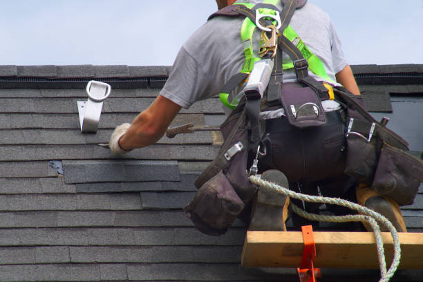 Best Roof Inspection Near Me  in Shenandoah, VA