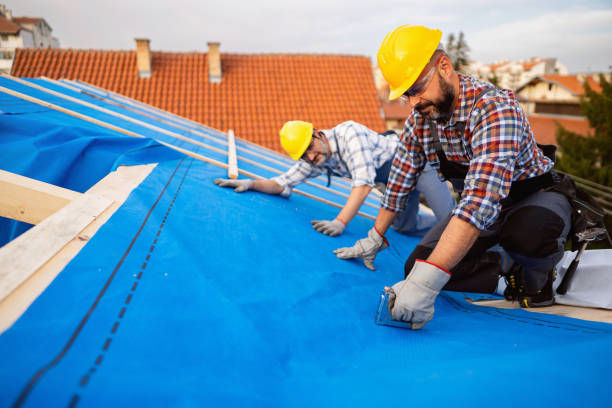 Best Gutter Installation and Roofing  in Shenandoah, VA
