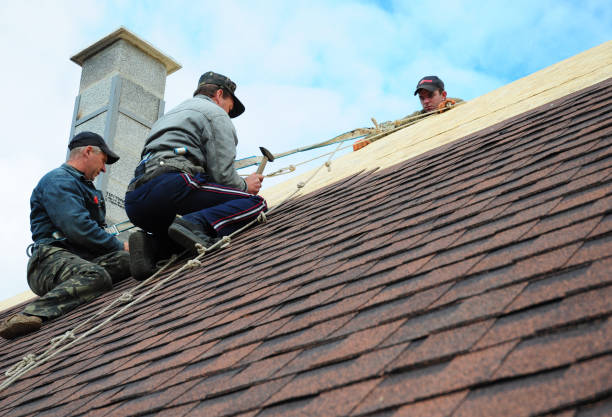 Best Roof Repair Services  in Shenandoah, VA