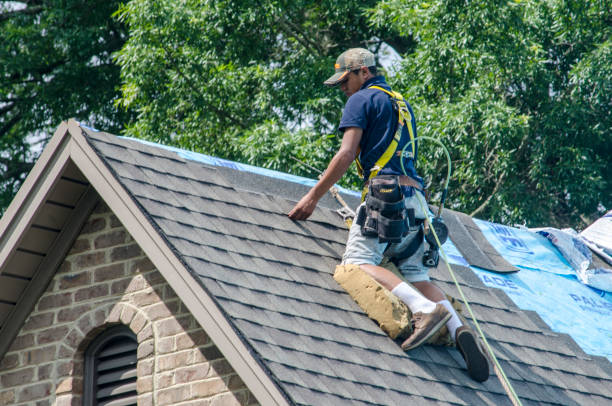 Best Best Roofing Contractors  in Shenandoah, VA