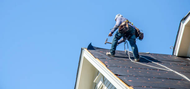 Best Roof Leak Repair  in Shenandoah, VA